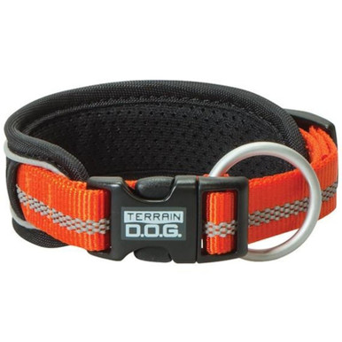 Terrain Dog 1" Large Pad Reflect Collar - Orange
