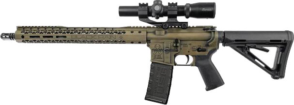 Black Rain Ordnance Full Field Tac30 Semi-Auto Rifle 21121301, 5.56x45mm NATO, 16", Adj. Stock, 30 Rds