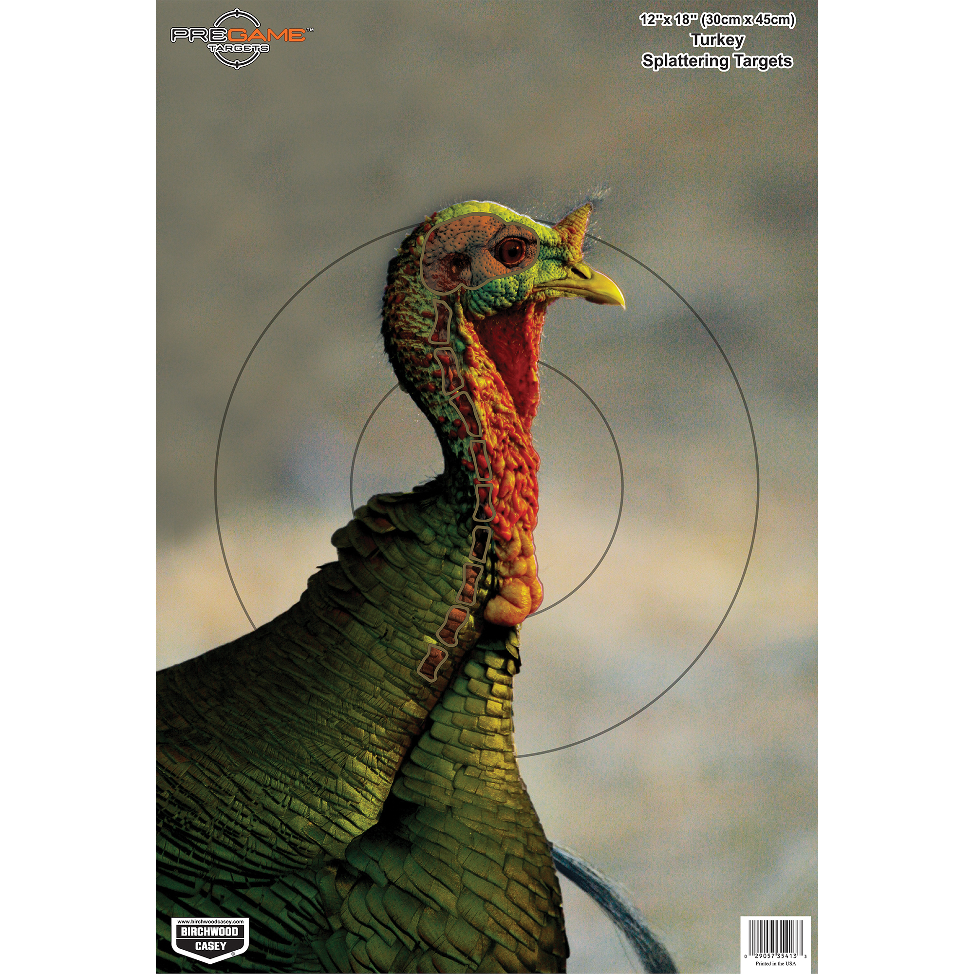 Birchwood Casey 35403 Pregame Turkey Paper Hanging Universal 12” x 18” Multi-Color 8 Per Pkg
