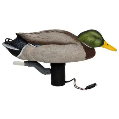 Avery Finisher Swimmer Mallard Drake