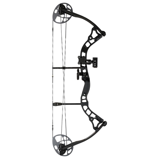 Diamond Diamond Prism Bow Package Black 18-30 in. 5-55 lbs. RH B12710