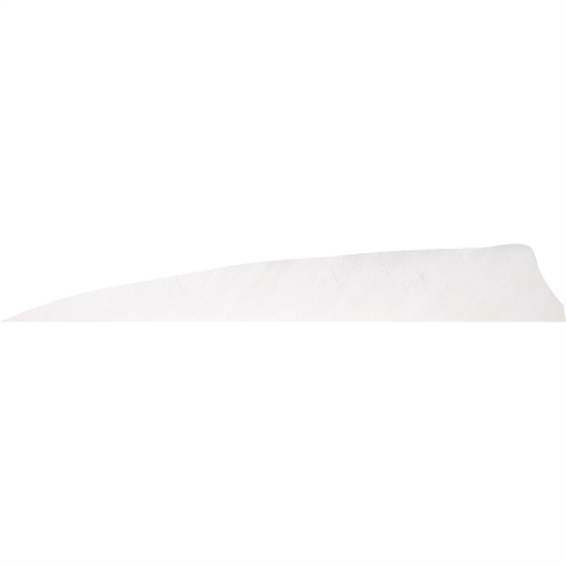 Gateway Gateway Shield Cut Feathers Flo White 4 in. LW 50 pk. 400LSSFW-50