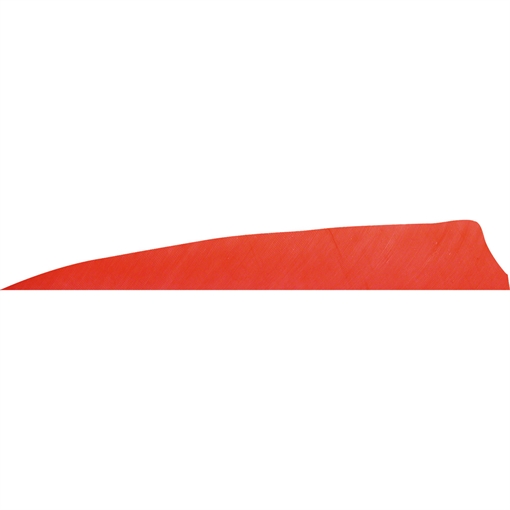 Gateway Gateway Shield Cut Feathers Red 4 in. RW 50 pk. 400RSSRR-50