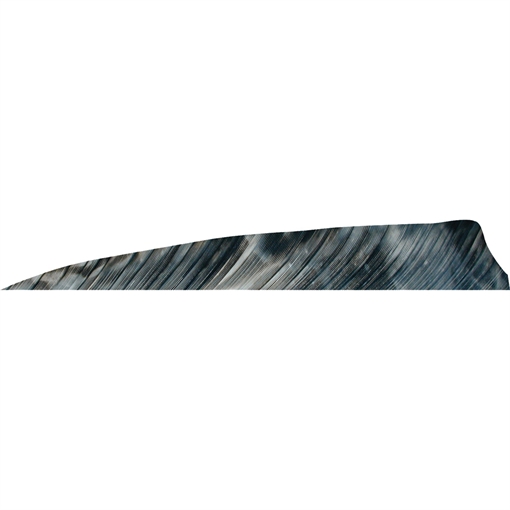 Gateway Gateway Shield Cut Feathers Tre Bark 4 in. RW 50 pk. 400RSTBR-50