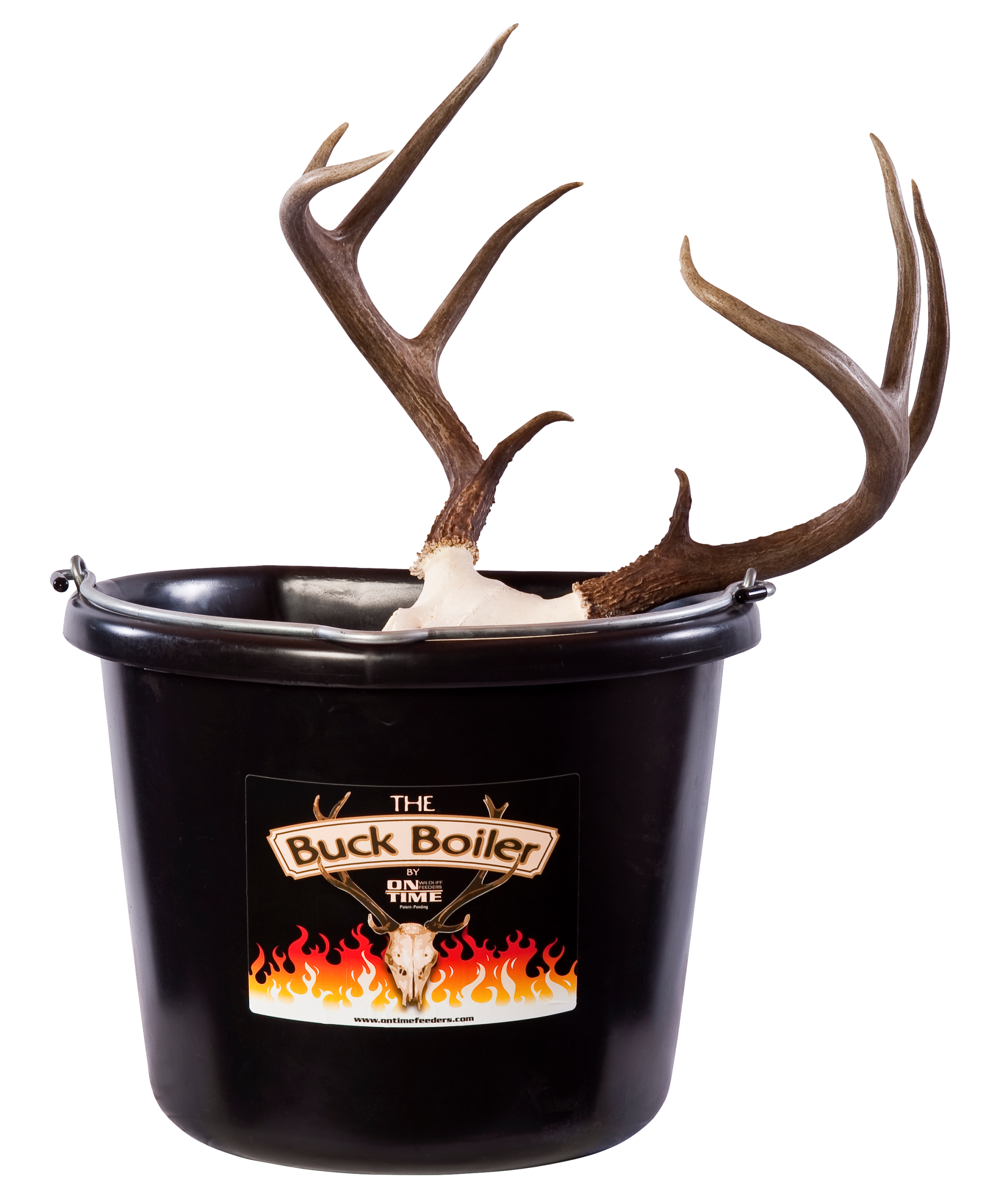 On Time 95000 Buck Boiler All-Electric Deer Skull Cleaning System - 4 Gallon 110V