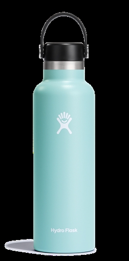 Hydro Flask Standard Mouth Insulated Water Bottle w/ Flex Cap S21SX441