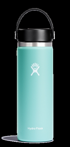 Hydro Flask Wide Mouth Insulated Water Bottle w/ Flex Cap W20BTS441