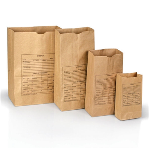 Lightning Powder Printed Paper Evidence Bags Style 25 1005310