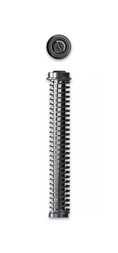 Radian Weapons COMPRESSOR GUIDE ROD P365XL BK FITS SIG P365XL & MACROR0914