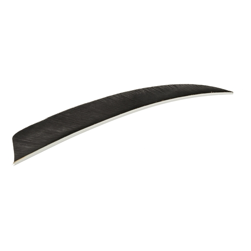 Trueflight Trueflight Shield Cut Feathers Black 5 in. LW 100 pk. 1908